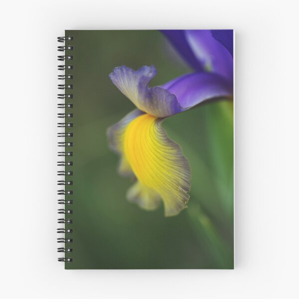 Artikelvorschau, Iris, Lila, Linien, Und, Gelb entworfen und verkauft von Joy Watson - Natural Light Photography .