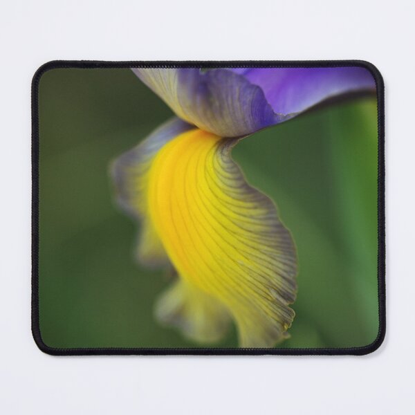 Item preview, Iris Purple Lines And Yellow designed and sold by Joy Watson - Natural Light Photography .