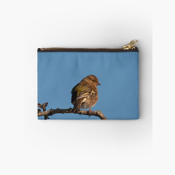 Item preview, Female Chaffinch designed and sold by Jon Lees.