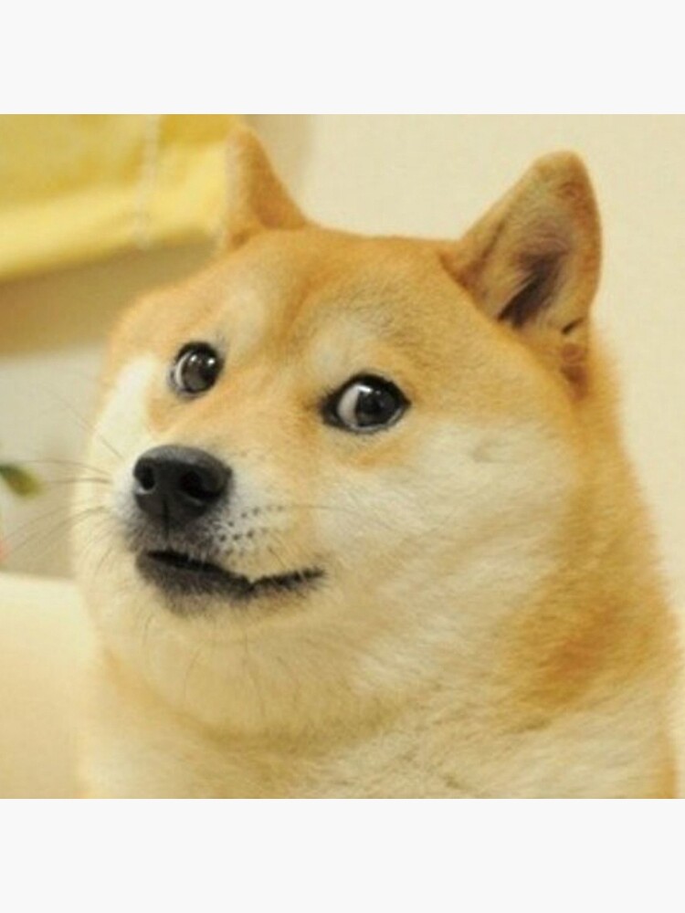 Doge Meme