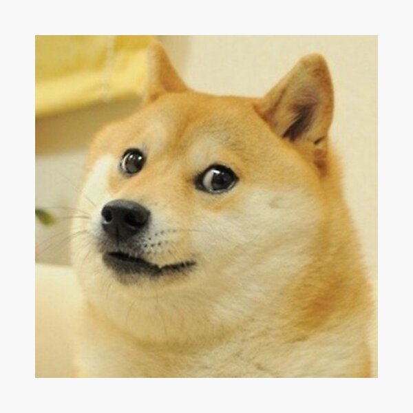 Doge Decal Roblox ID