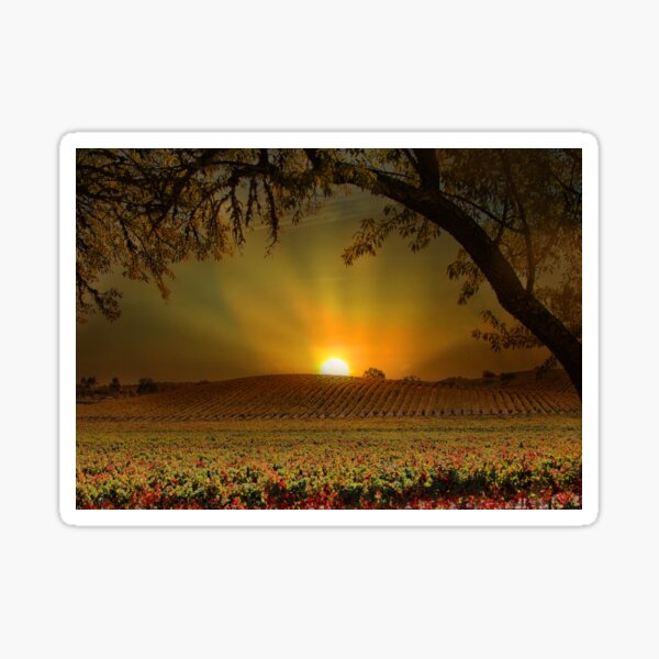 Item preview, Sunrise in Vineyard designed and sold by Stephanie Laird.