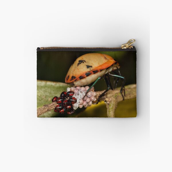 Item preview, eggs hatched designed and sold by kevin Chippindall.