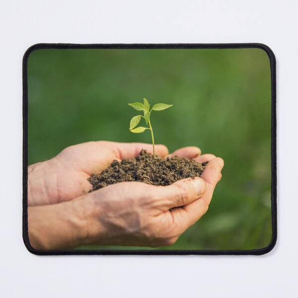 Item preview, growing seedling  designed and sold by 1STunningART.