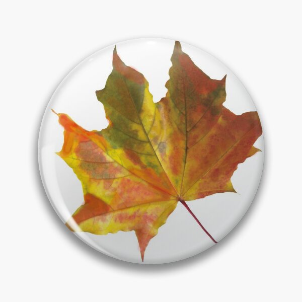 Item preview, Autumn Fallen Leaf designed and sold by BankrobberGus.
