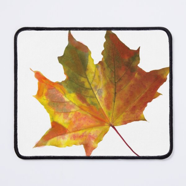Item preview, Autumn Fallen Leaf designed and sold by BankrobberGus.