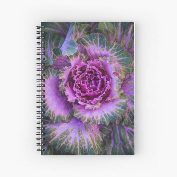 Item preview, Ornamental Cabbage designed and sold by alan shapiro.