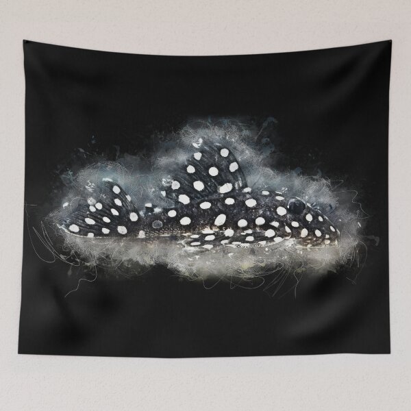 Item preview, L 142 Snowball armorice catfish - Baryancistrus spec designed and sold by AquariumLutter.