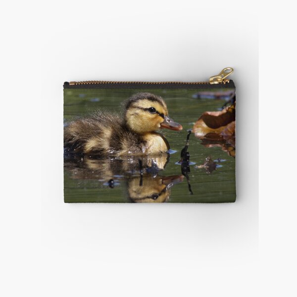 Item preview, Boy am I cute or what designed and sold by Rob Lavoie.