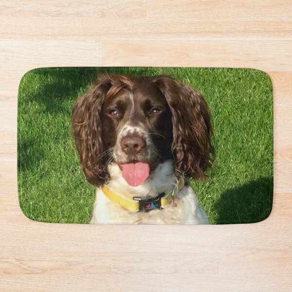 Item preview, BROCK IN THE SUNSHINE designed and sold by JohnDalkin.
