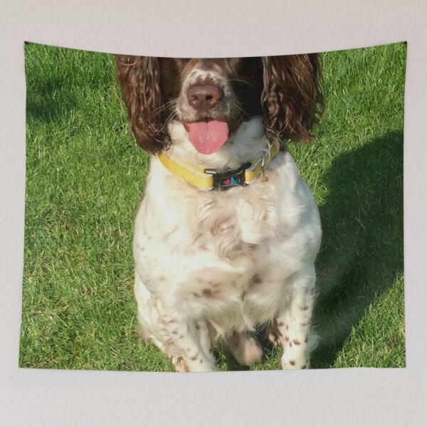 Item preview, BROCK IN THE SUNSHINE designed and sold by JohnDalkin.