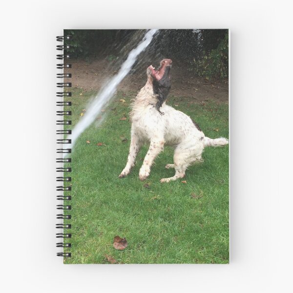 Item preview, Brock and a water jet designed and sold by JohnDalkin.