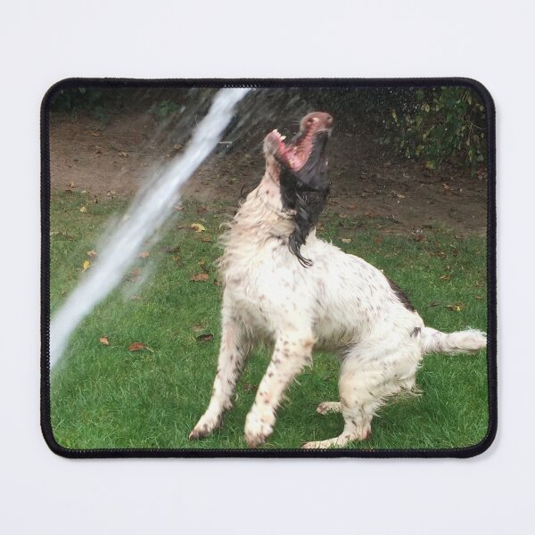 Item preview, Brock and a water jet designed and sold by JohnDalkin.