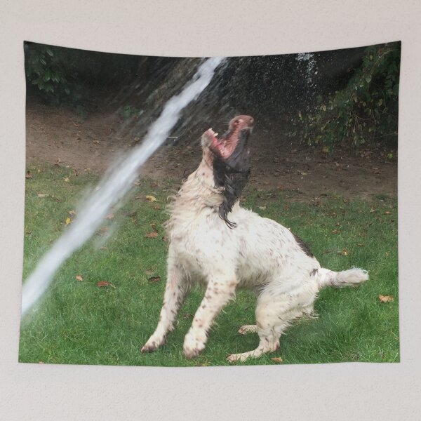 Item preview, Brock and a water jet designed and sold by JohnDalkin.