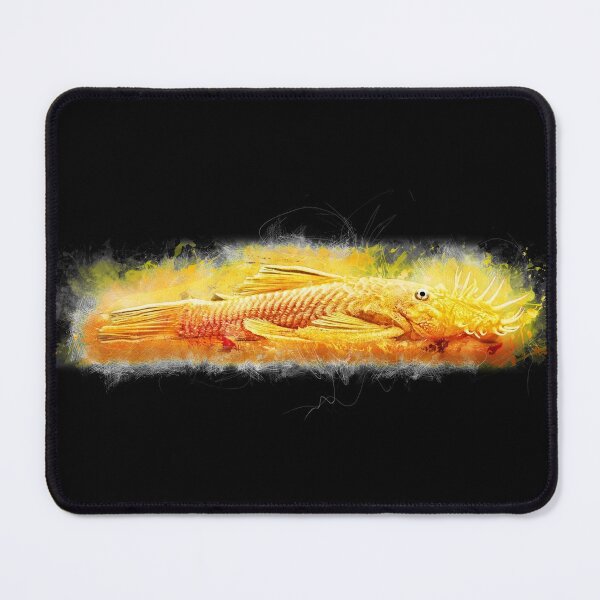 Item preview, L144 Yellow Catfish - Ancistrus sp. designed and sold by AquariumLutter.