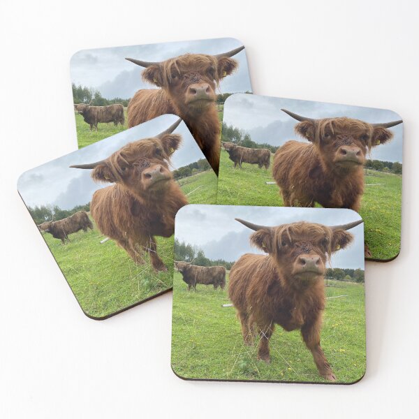Item preview, Scottish Highland Cattle Calf 2940 designed and sold by SaarelaHighland.
