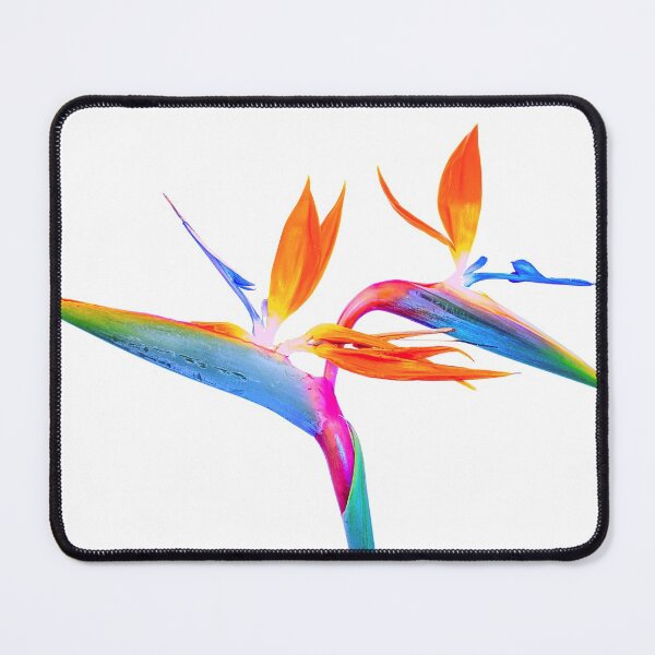 Item preview, Bird of Paradise | Simplistic | Splash of Colour designed and sold by JillyJ05.
