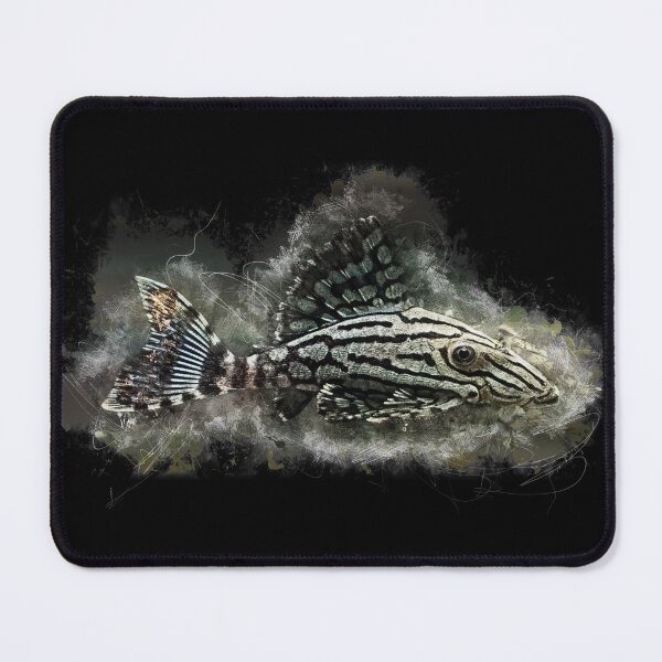 Item preview, L191 Broken Line Royal Pleco - Panaque sp. designed and sold by AquariumLutter.