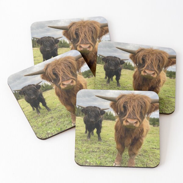 Item preview, Scottish Highland Cattle Calves 2949 designed and sold by SaarelaHighland.