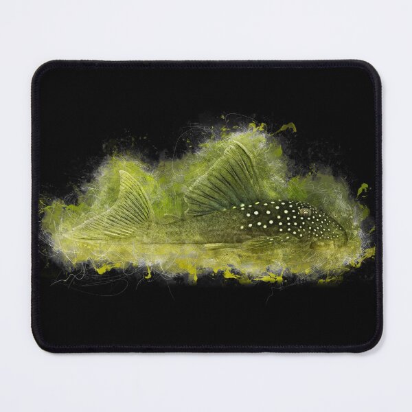 Item preview, L200 Golden Green Suckling Catfish Hifin - Baryancistrus demantoides designed and sold by AquariumLutter.