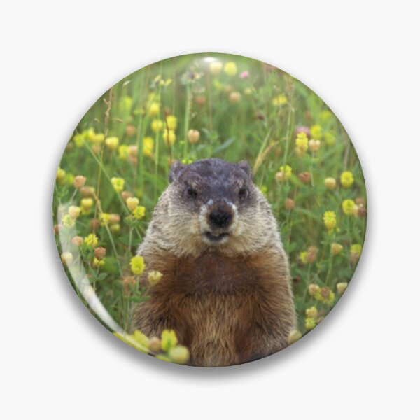 Item preview, I am Groundhog  designed and sold by HolidayBug.