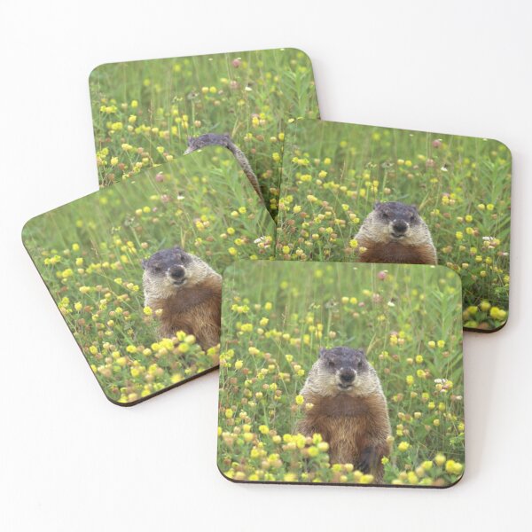 Item preview, I am Groundhog  designed and sold by HolidayBug.