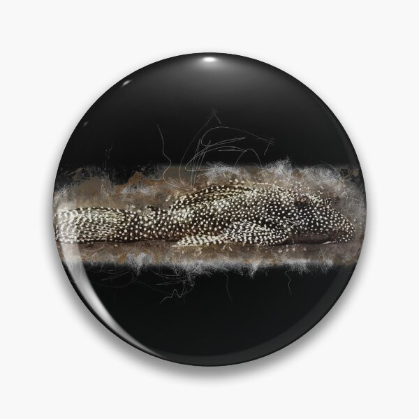 Item preview, L 262 Guinea Fowl Catfish - Hypancistrus sp. designed and sold by AquariumLutter.