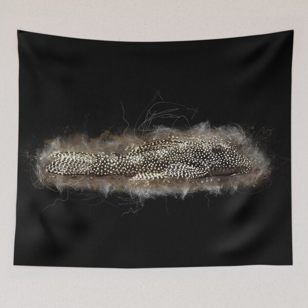 Item preview, L 262 Guinea Fowl Catfish - Hypancistrus sp. designed and sold by AquariumLutter.