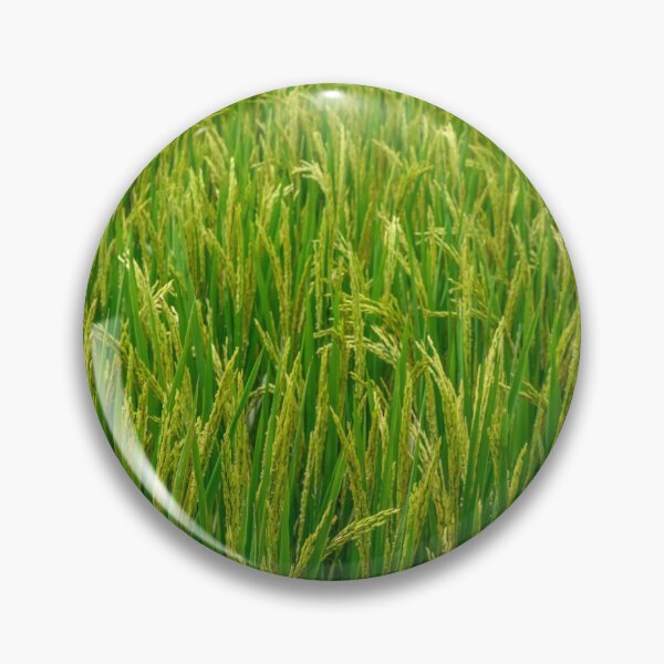 Item preview, Paddy Field designed and sold by Tim Paulawitz.