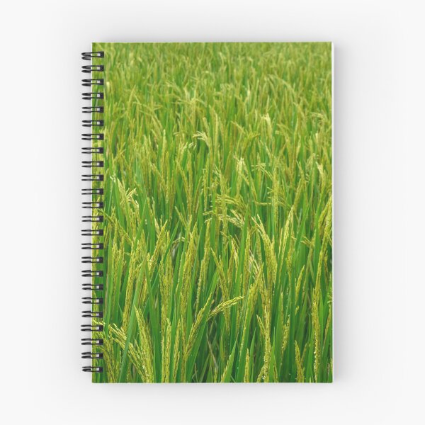 Item preview, Paddy Field designed and sold by Tim Paulawitz.