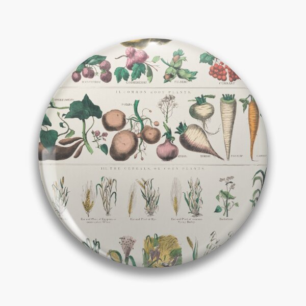 Item preview, Botanical economical uses of plants designed and sold by Flamin' Galah.