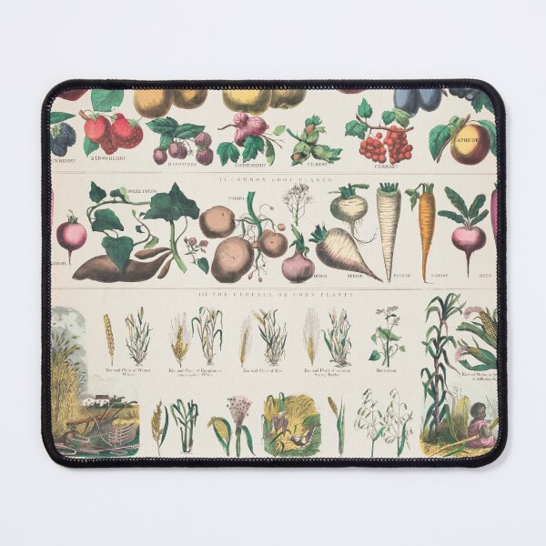 Item preview, Botanical economical uses of plants designed and sold by Flamin' Galah.