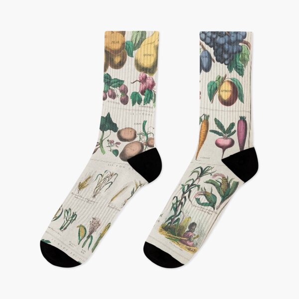 Item preview, Botanical economical uses of plants designed and sold by Flamin' Galah.