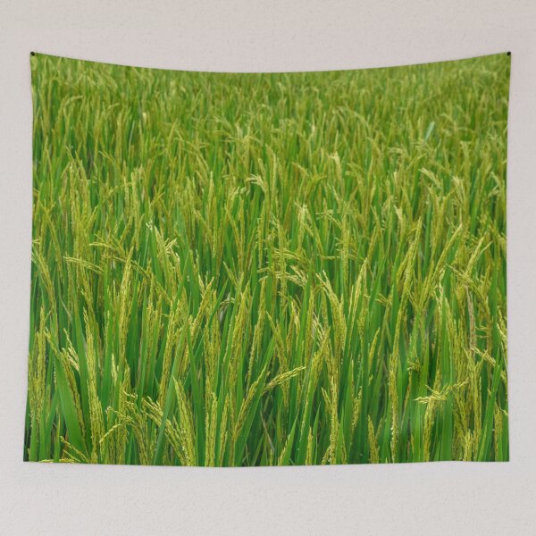 Item preview, Paddy Field designed and sold by Tim Paulawitz.