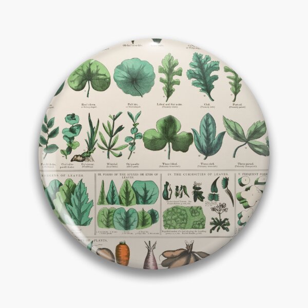 Item preview, Botanical forms of leaves, stems, roots, and flowers (1890) designed and sold by Flamin' Galah.