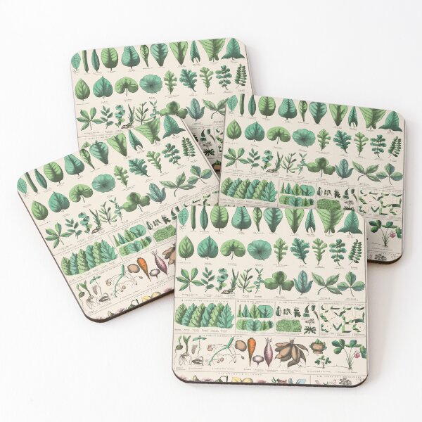 Item preview, Botanical forms of leaves, stems, roots, and flowers (1890) designed and sold by Flamin' Galah.