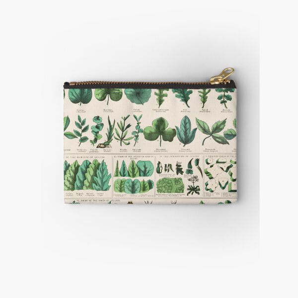 Item preview, Botanical forms of leaves, stems, roots, and flowers (1890) designed and sold by Flamin' Galah.