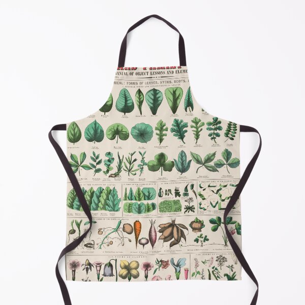 Item preview, Botanical forms of leaves, stems, roots, and flowers (1890) designed and sold by Flamin' Galah.