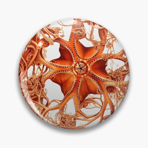 Item preview, Vintage basket star illustration designed and sold by Flamin' Galah.
