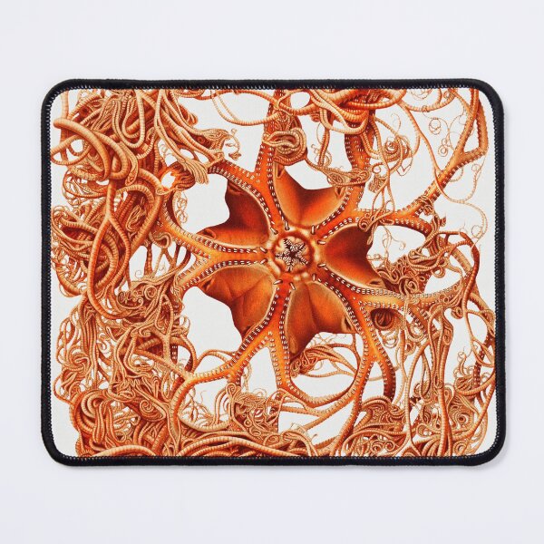 Item preview, Vintage basket star illustration designed and sold by Flamin' Galah.