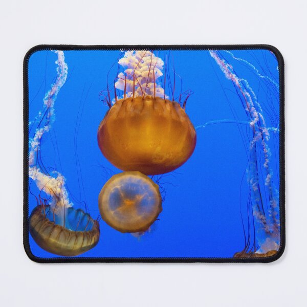 Item preview, Jellyfish designed and sold by Flamin' Galah.