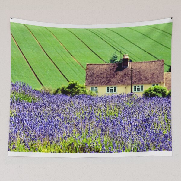 Item preview, Lavender Field Summer Flowers Cotswolds Gloucestershire England designed and sold by AndyEvansPhotos.