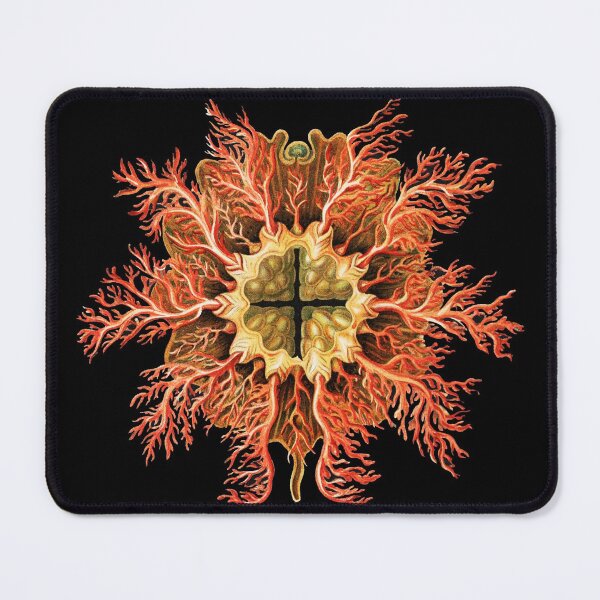 Item preview, Colourful vintage tunicate marine life illustration designed and sold by Flamin' Galah.