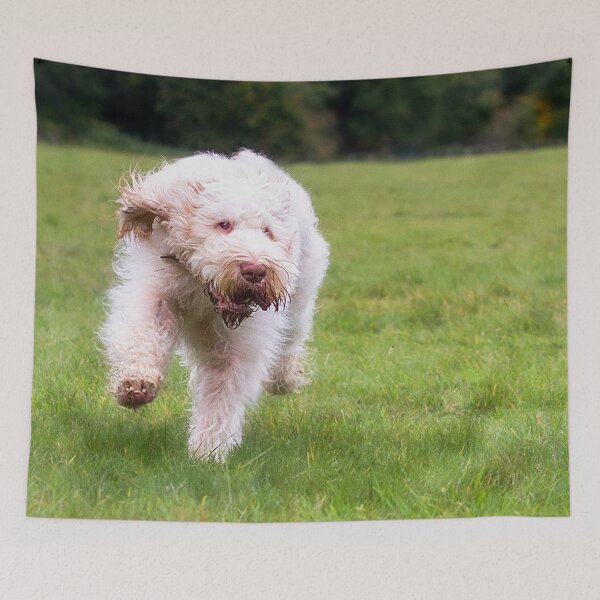 Item preview, The race is on Spinoni by heidiannemorris designed and sold by FOLK ART FUSION by heidiannemorris.