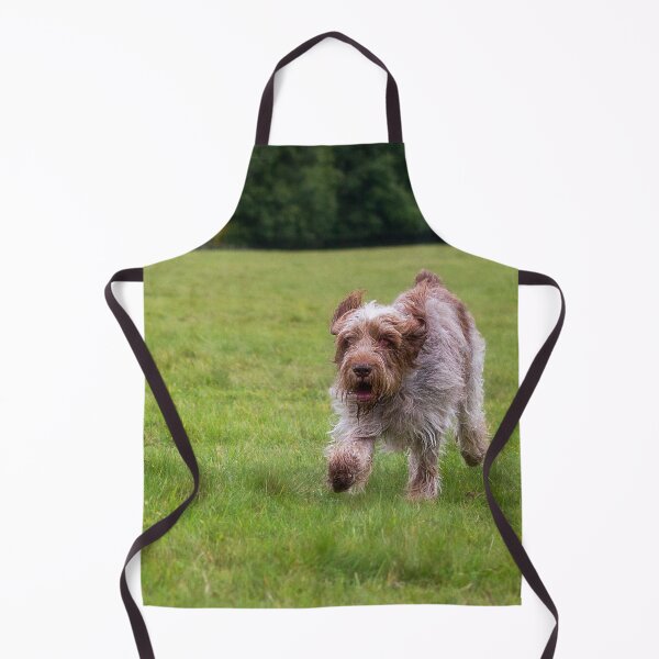 Item preview, The race is on Spinoni by heidiannemorris designed and sold by FOLK ART FUSION by heidiannemorris.