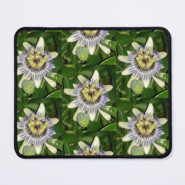 Item preview, passionflower designed and sold by Joanne Babb.