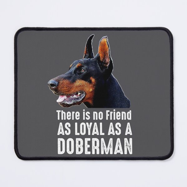 Item preview, There is no Friend as Loyal as a Doberman Pinscher Gift designed and sold by NUMAcreations.