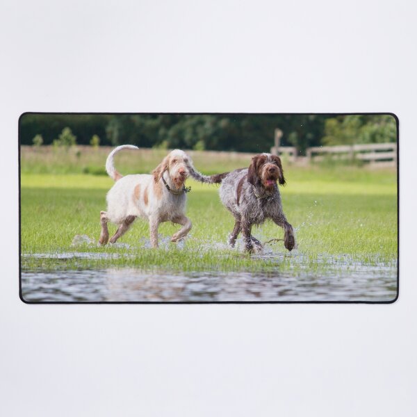 We love to paddle Spinoni Desk Mat