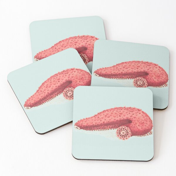 Item preview, Vintage seaslug illustration designed and sold by Flamin' Galah.
