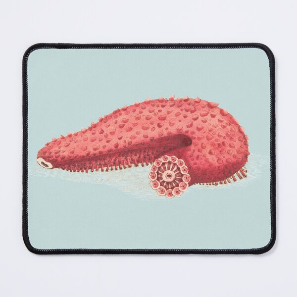 Item preview, Vintage seaslug illustration designed and sold by Flamin' Galah.